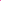 Guanti Regolare Bicolore - 100% Cachemire - Flash Pink