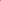 Bandana - 100% Cachemire - Certificato GCS - Cosmic Pink